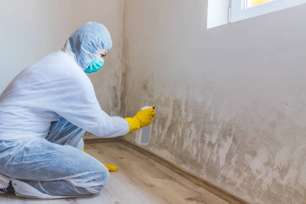 Mold Remediation specialist working in Cedar Knolls